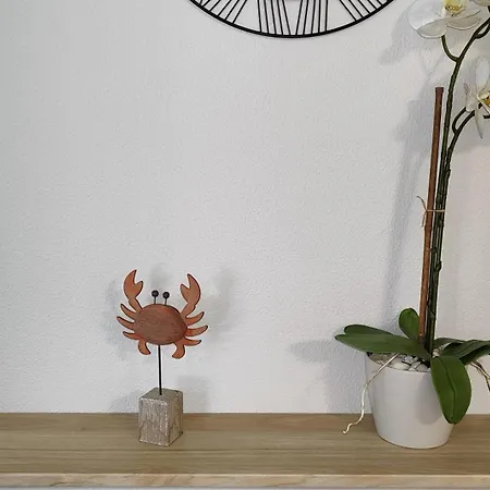 Apartament Casachelocangas *