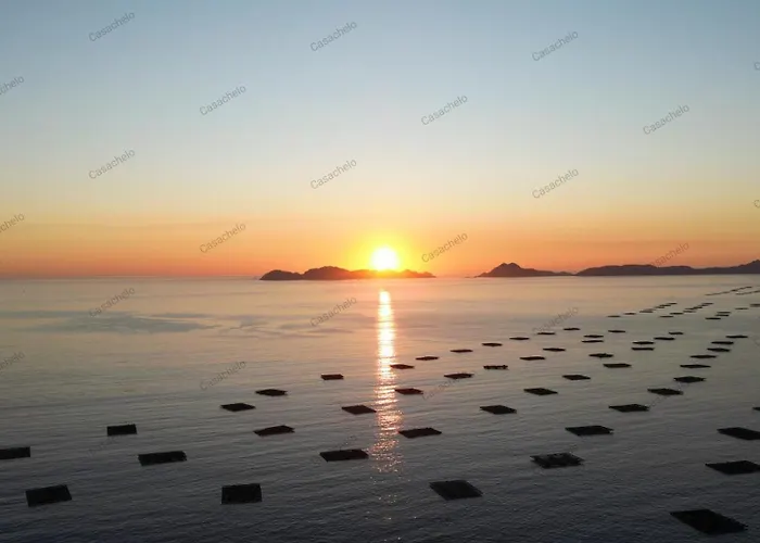 Turistico Casachelocangas En El Corazon De Cangas, Playas, Cies,vigo Apartment